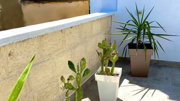 Alloggio panoramico su due livelli, 1 camera da letto | Terrazza/patio