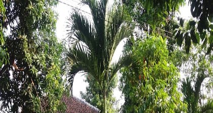 Ndalem Diajeng Homestay