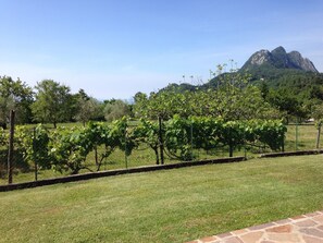 Yhden hengen standard-huone | Näkymä huoneesta