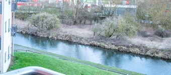 The Luxuriant Place No. 2