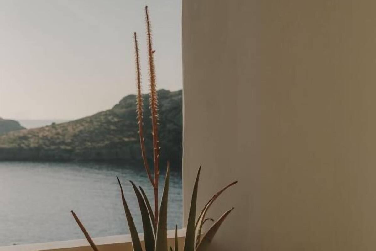 Corner Suite Sea View | 露台/庭院