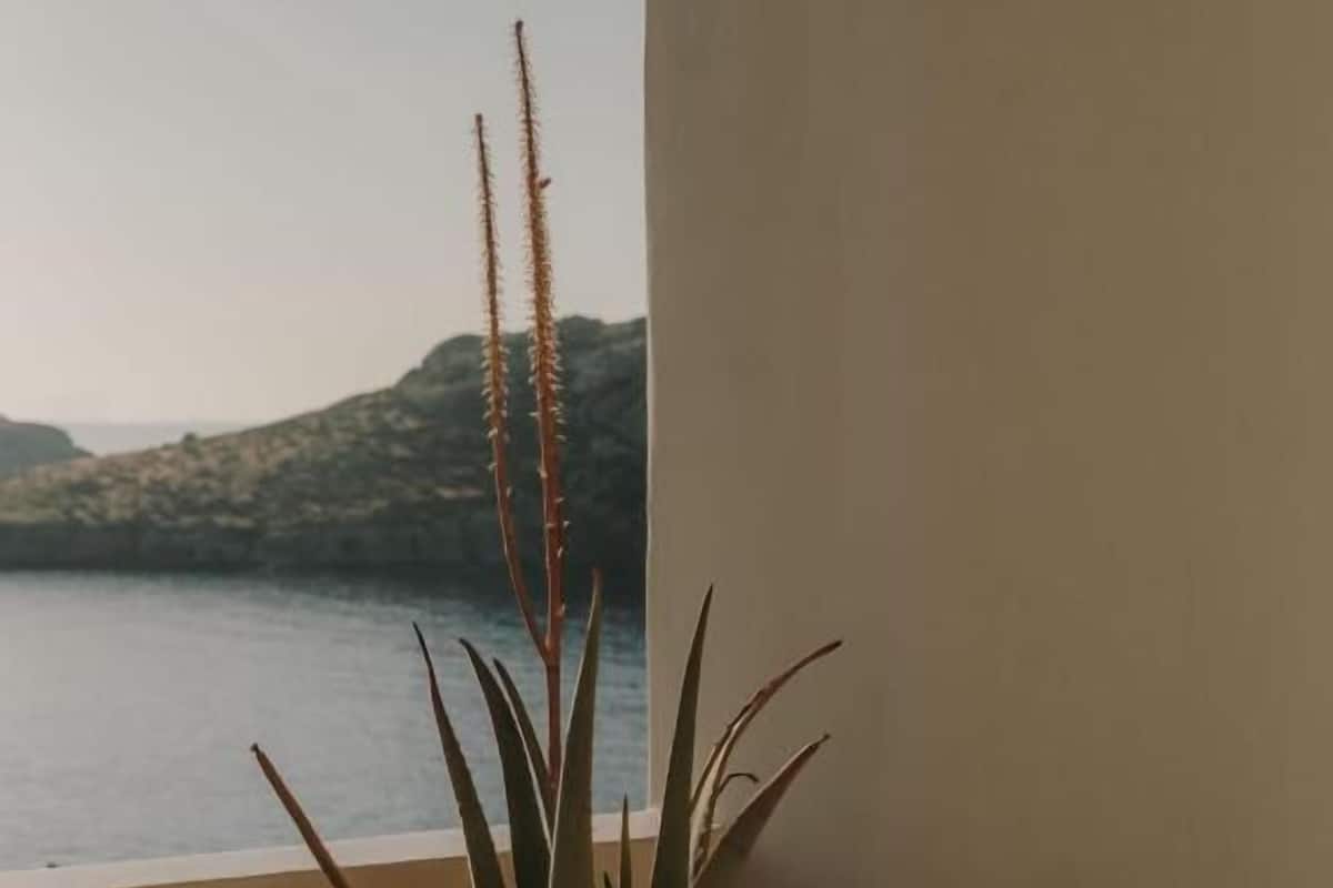 Corner Suite Sea View | Terraza o patio