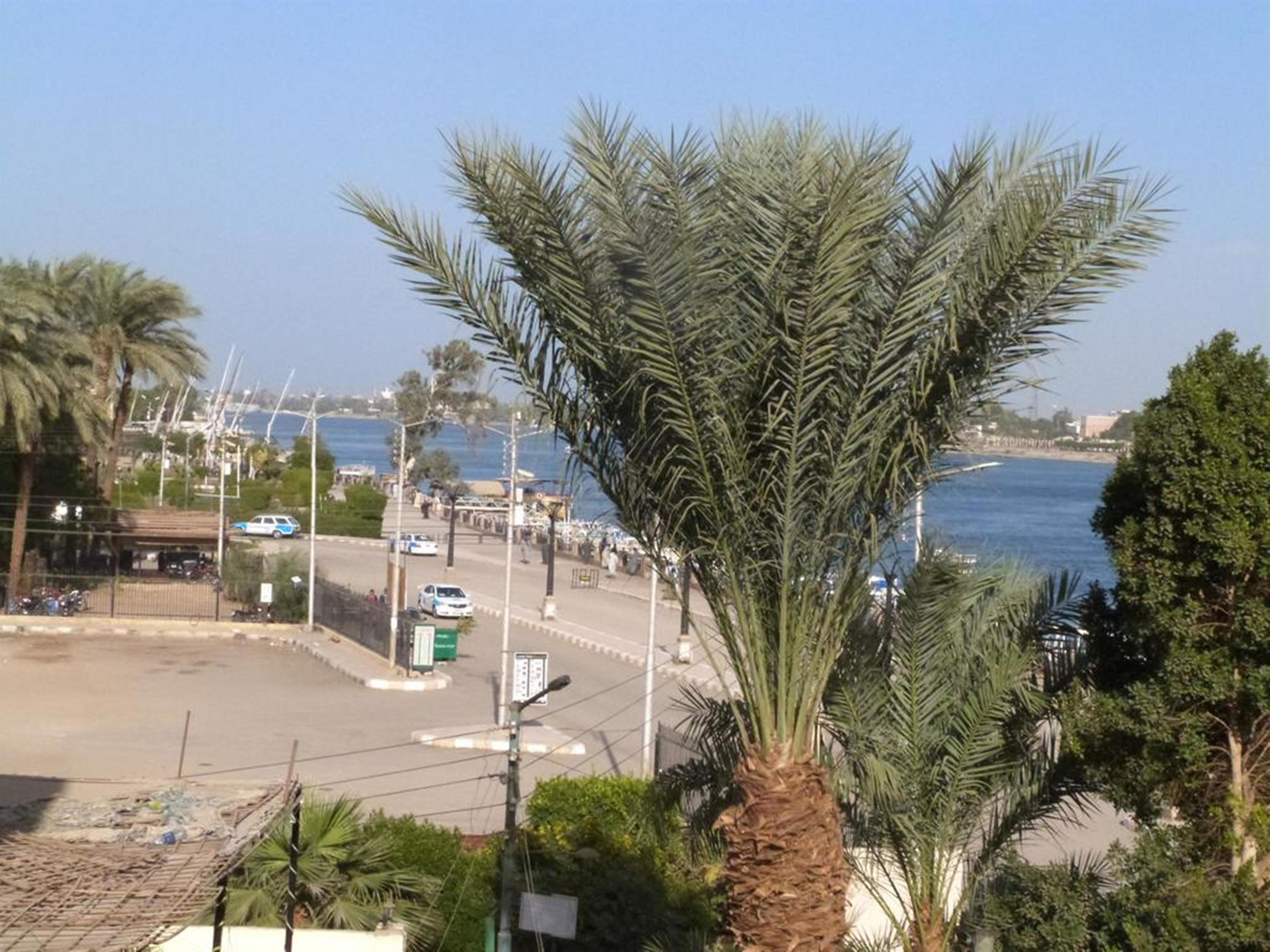 Photo - Spring Hotel Luxor