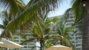 A beachside lounge area with white lounge chairs and umbrellas, surrounded by palm trees and a building in the background. - Condo M Principe (Ixtapa)