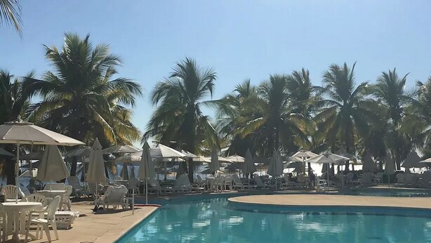 A pool area with lounge chairs and umbrellas, surrounded by palm trees. - Condo M Principe (Ixtapa)