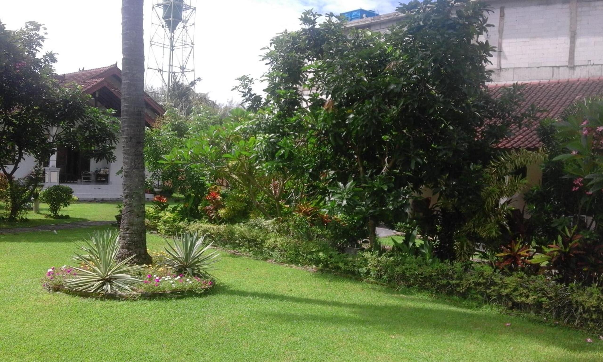 A well-maintained garden with a variety of plants and a palm tree, a building with a red-tiled roof, and a utility pole.