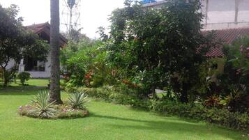 A well-maintained garden with a variety of plants and a palm tree, a building with a red-tiled roof, and a utility pole.