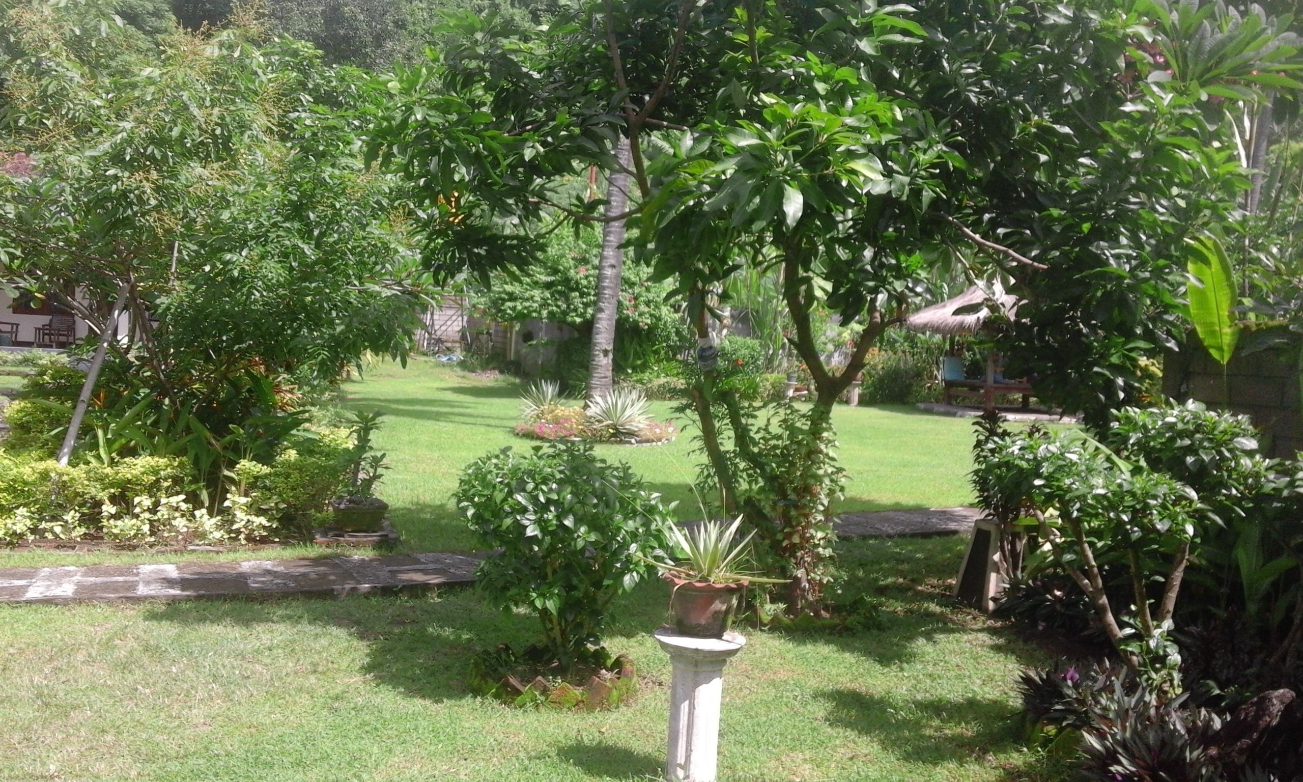 A well-maintained garden with various plants and a central white pedestal.