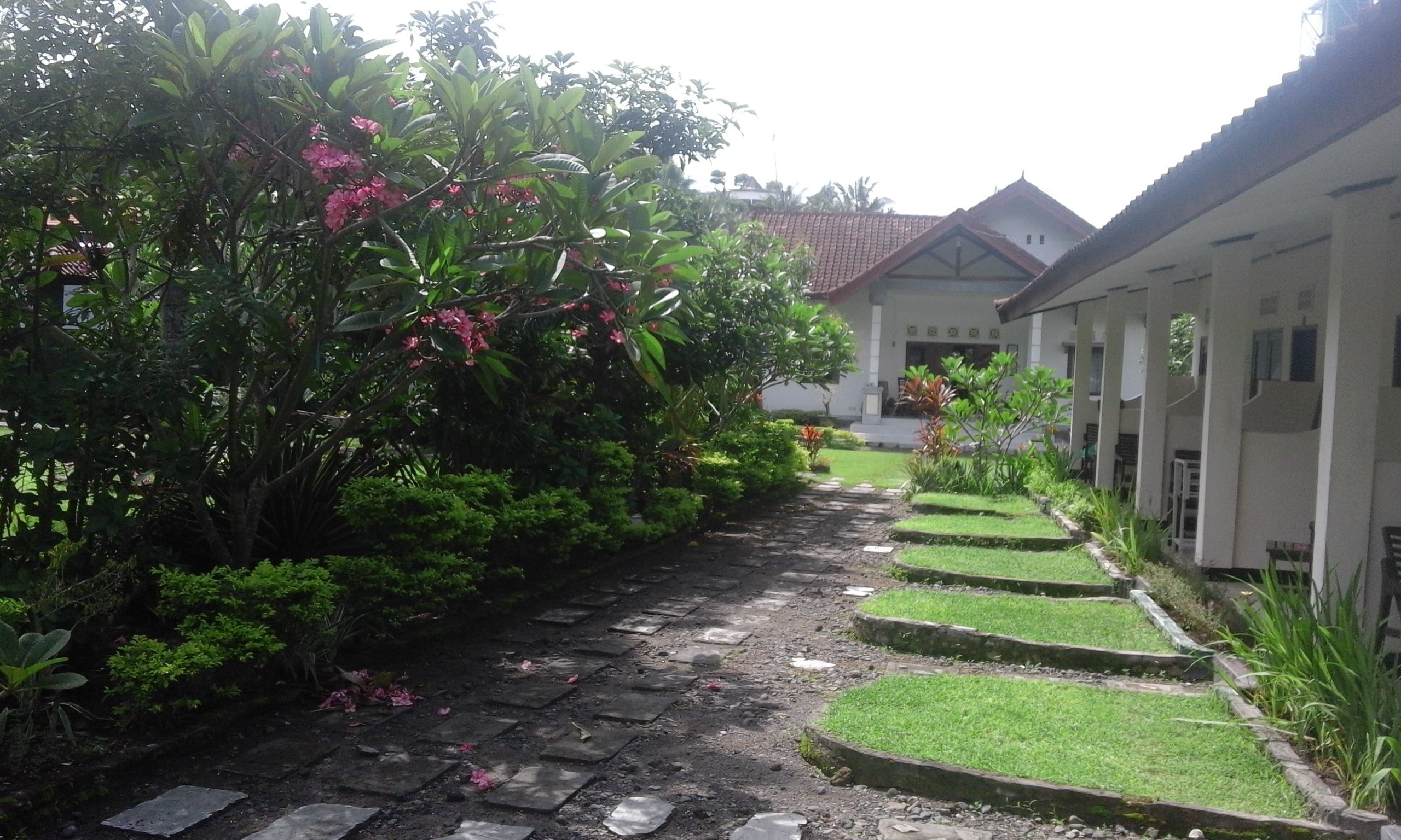 A pathway leading to a building with a tiled roof and a garden with various plants and flowers.