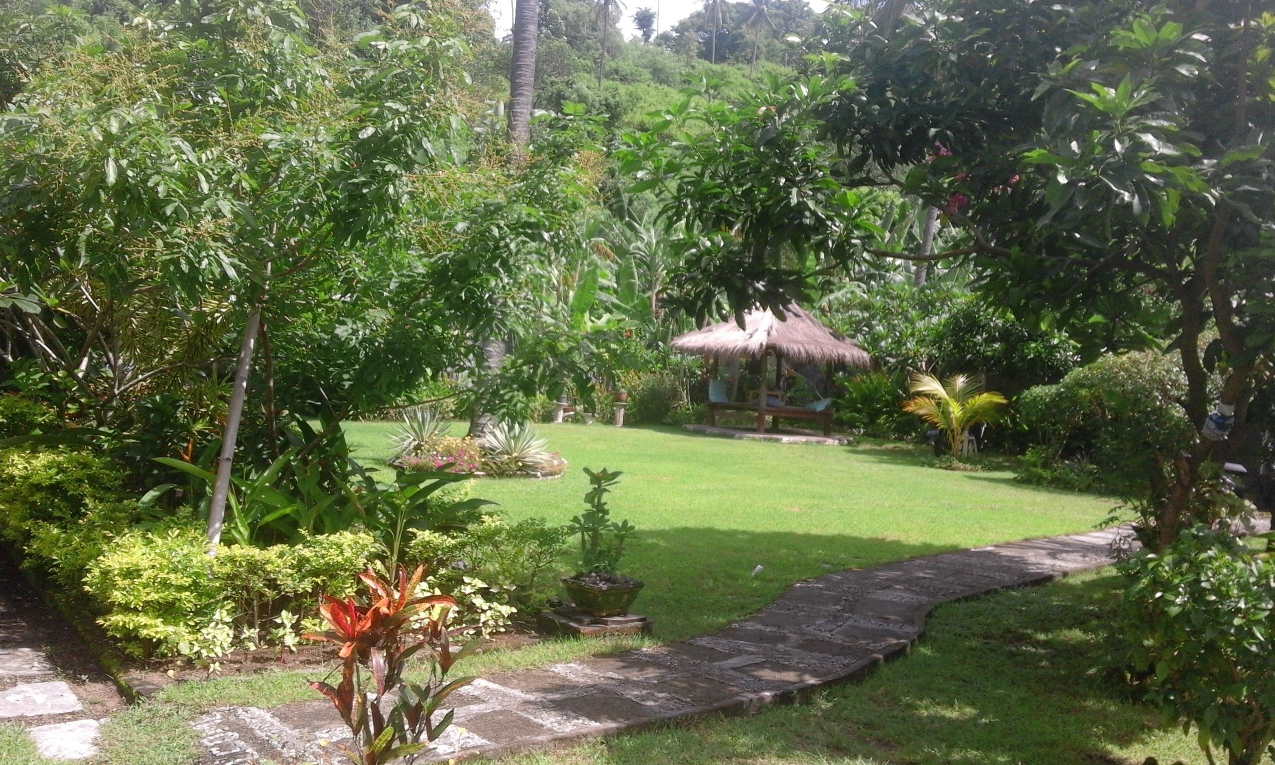 Un jardin luxuriant agrémenté d’un belvédère à toit de chaume, d’un sentier en pierre et de diverses plantes tropicales.