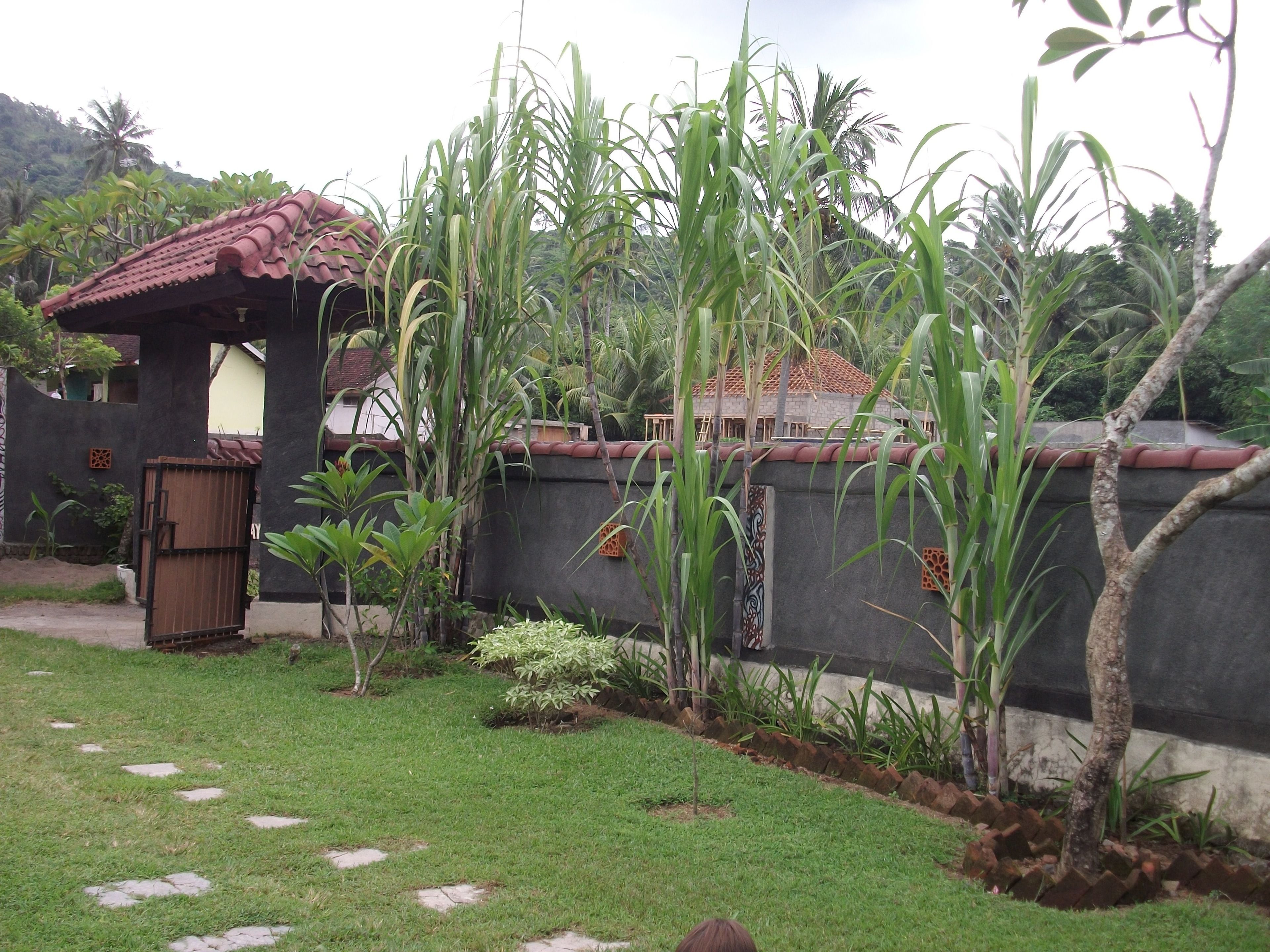 A garden with a pathway, a small structure with a tiled roof, and a wall with decorative patterns.