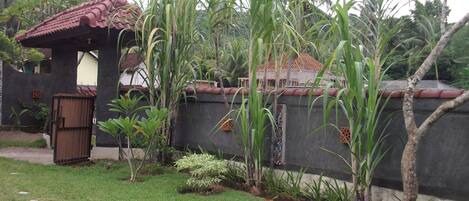 A garden with a pathway, a small structure with a tiled roof, and a wall with decorative patterns.