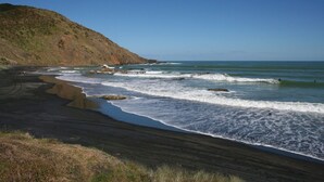 A beach with waves, a sandy shore, and a hill in the background. - Port Waikato Holiday Park (Port Waikato)