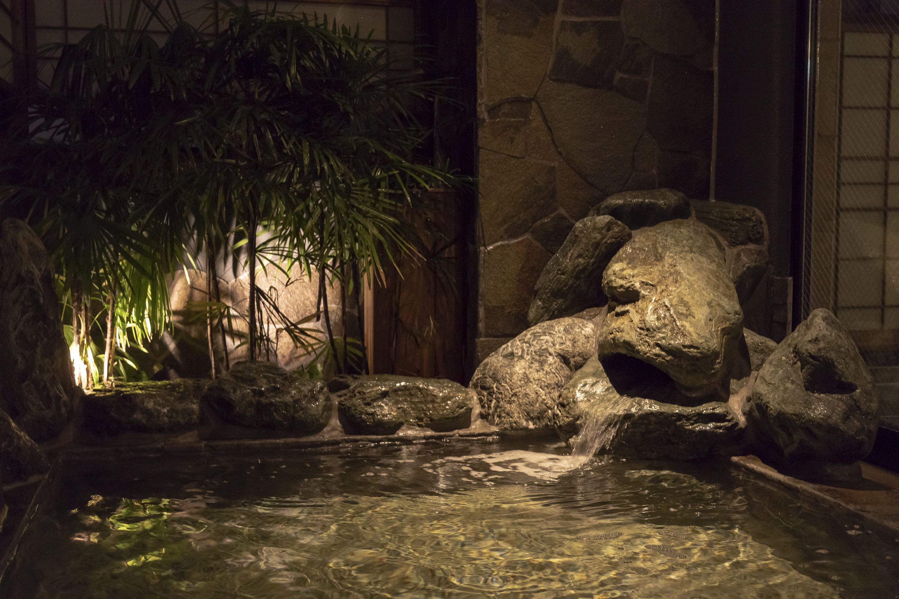 A tranquil indoor water feature with rocks and a large plant.