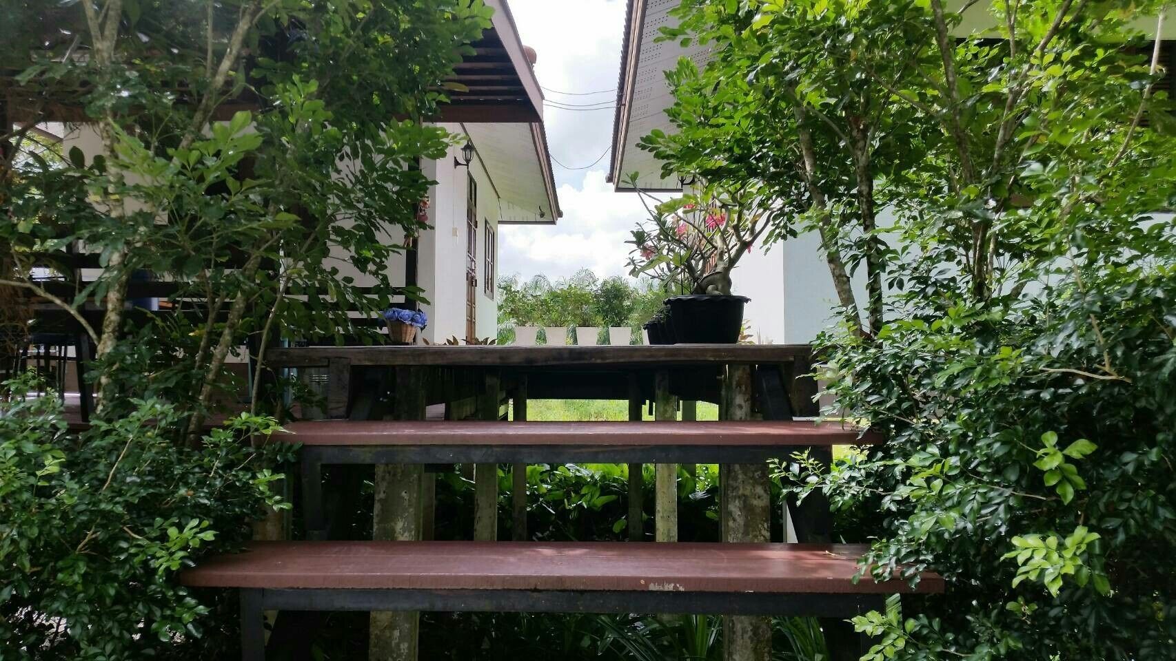A wooden staircase leading to a covered outdoor area with potted plants.