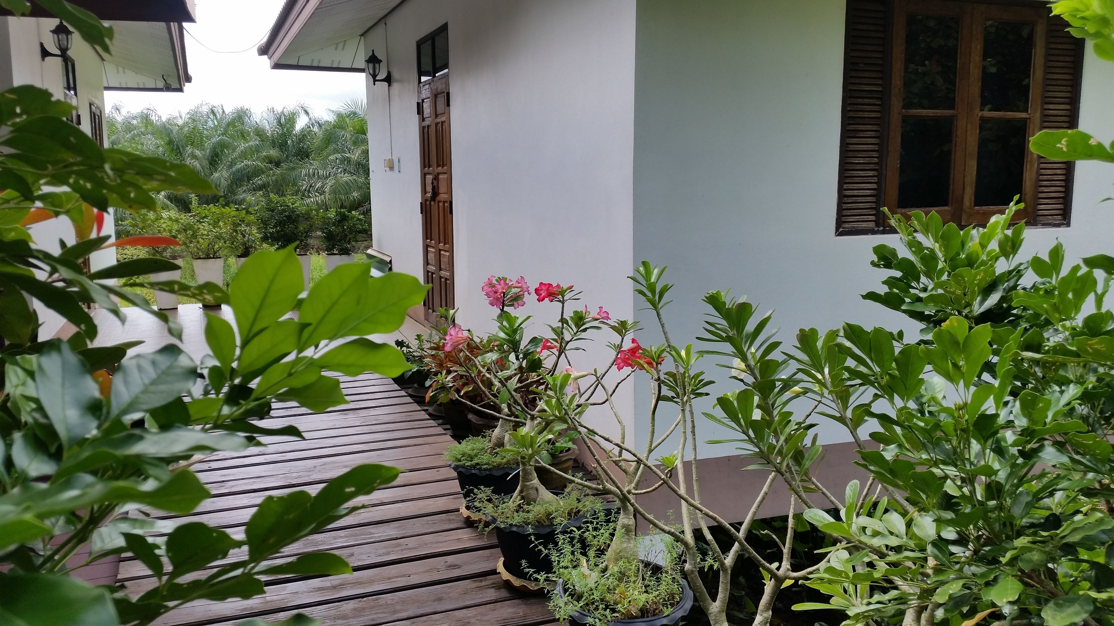 A wooden deck leading to a white building with a brown door and window shutters.