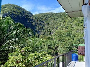 スタンダード ダブルルーム ダブルベッド 1 台 冷蔵庫 | 部屋からの景観