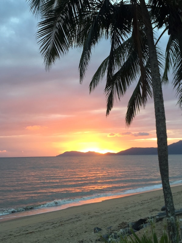 Uma praia com uma palmeira e um pôr do sol sobre o oceano.