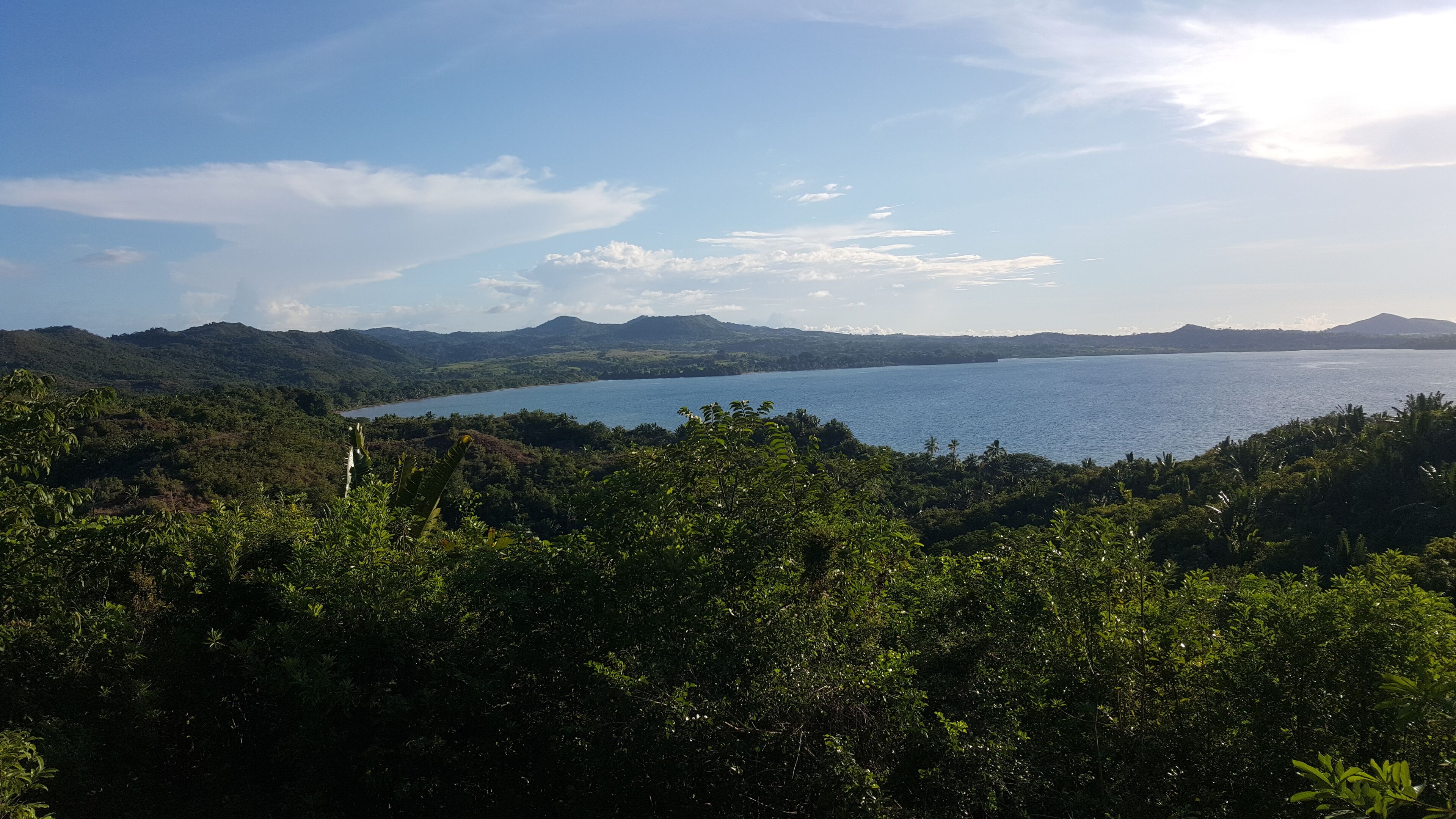 A lush, green landscape with a large body of water and distant mountains.