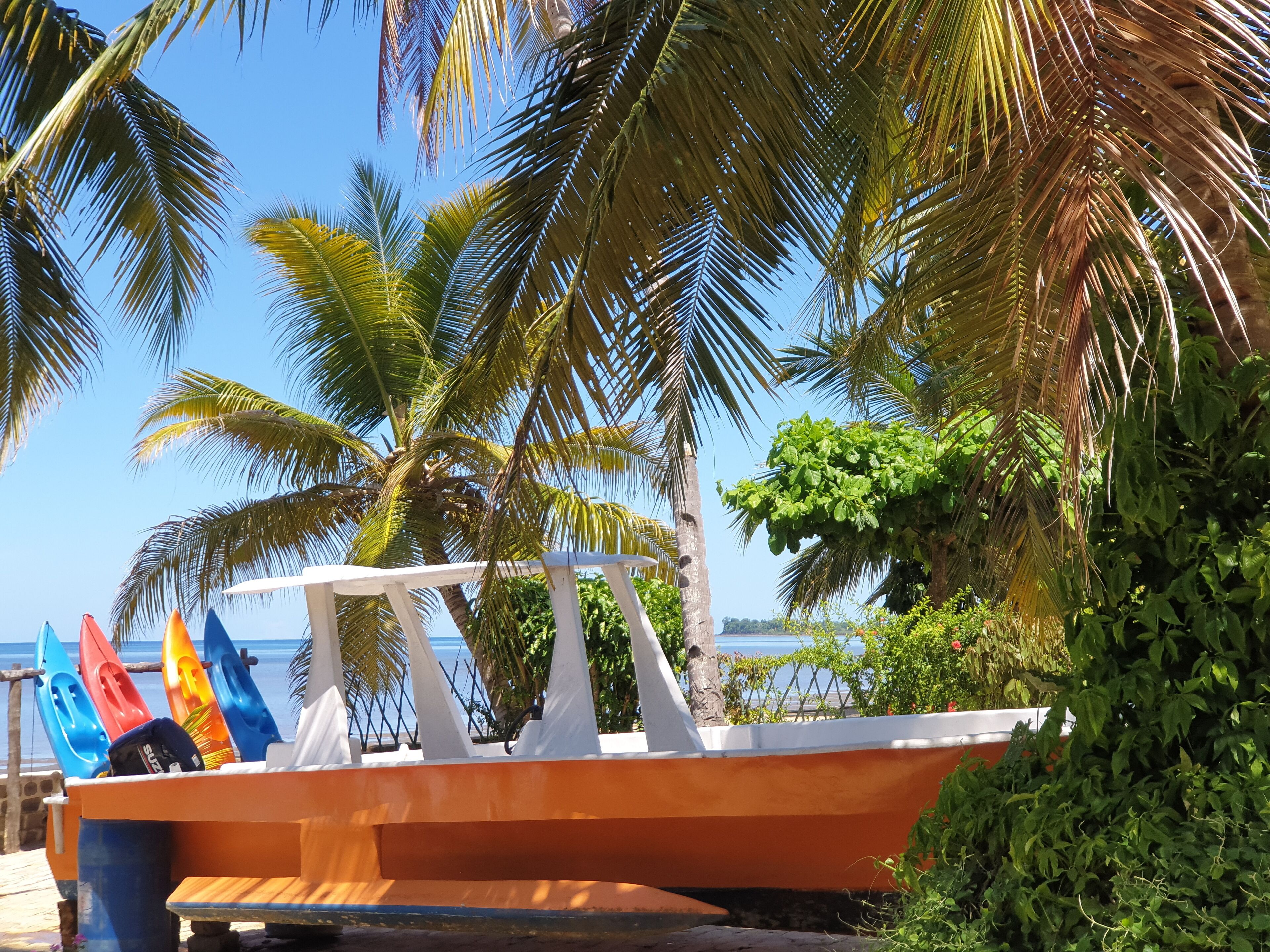 A beachside boat with a white canopy, surrounded by palm trees and a clear blue sky.
