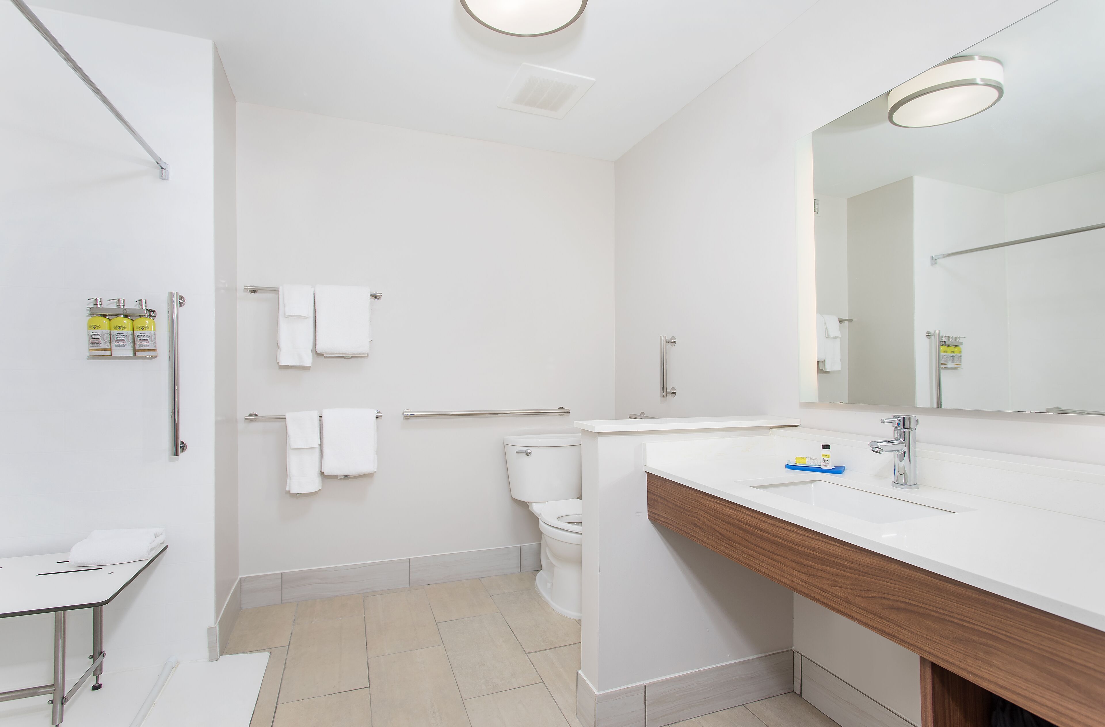 standard room, 1 king bed, accessible (mobility, roll-in shower) | bathroom | free toiletries, hair dryer, towels