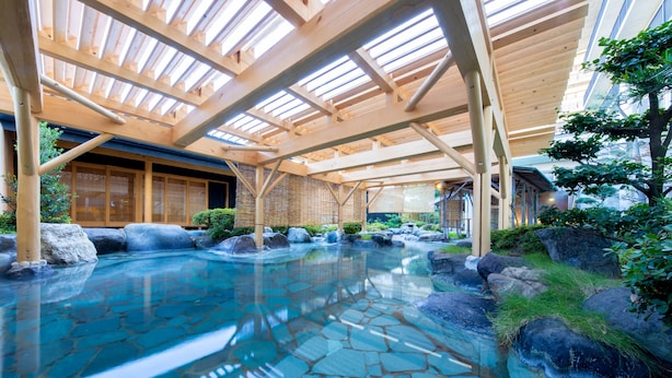 A traditional Japanese onsen with a clear stone pool, wooden beams, and a view of the surrounding landscape. - Awara Onsen Seifuso (Awara)