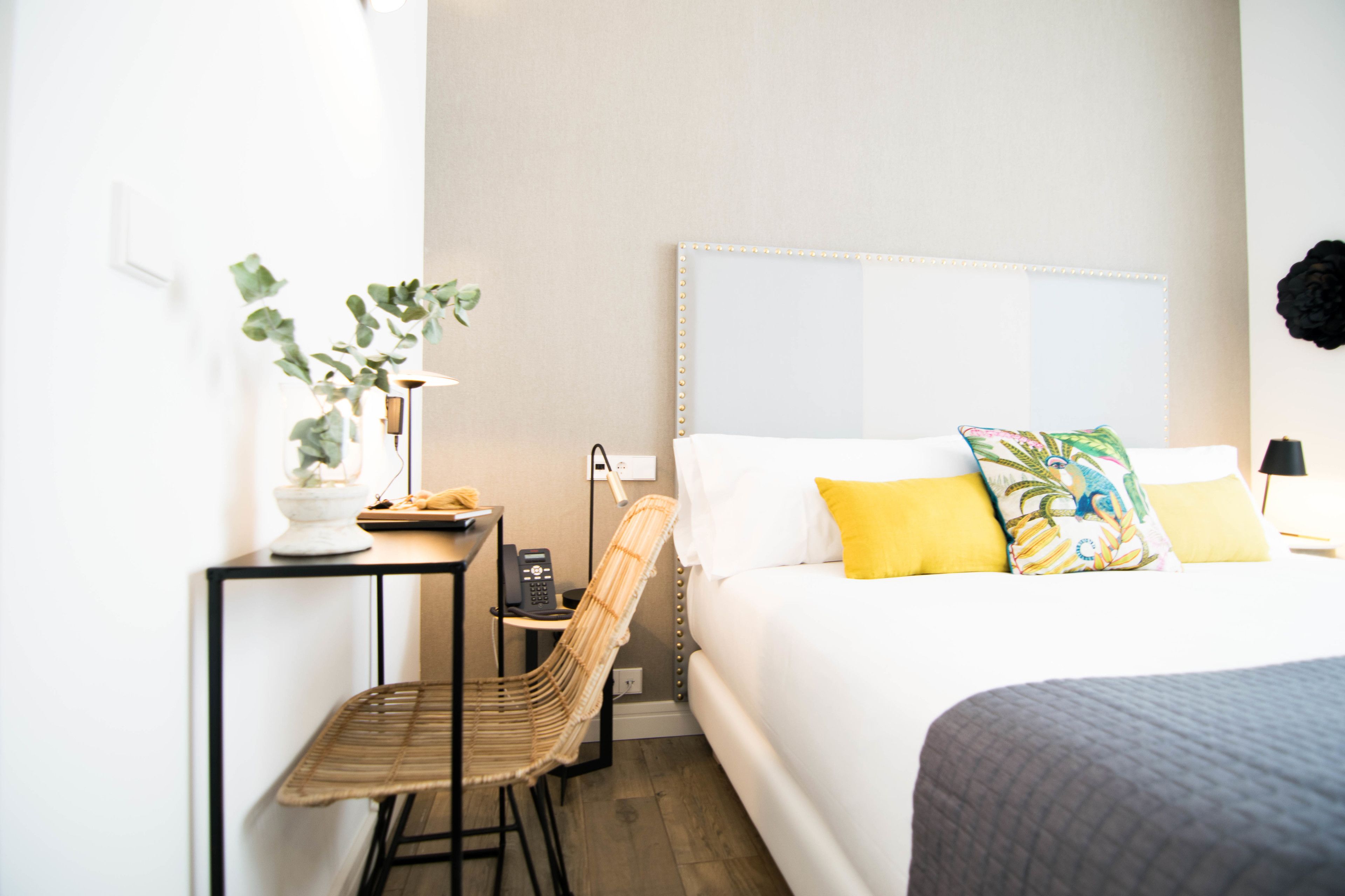 Una habitación de hotel con cama, mesita de noche, silla, lámpara y una planta en maceta.