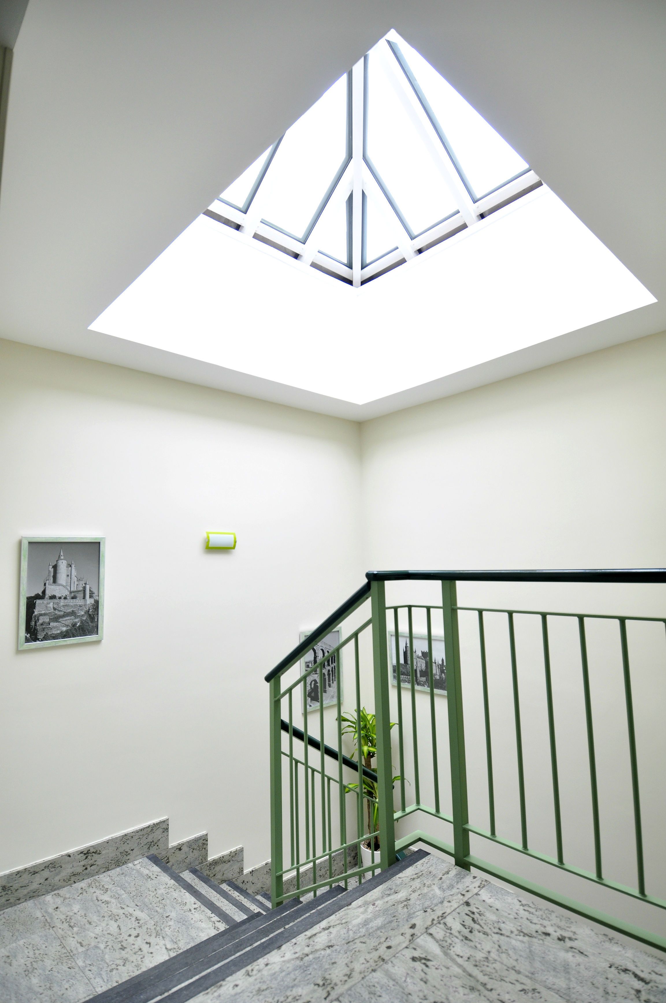 A staircase with a skylight, a framed picture on the wall, and a potted plant.