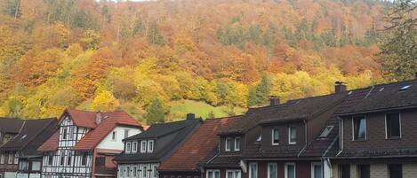 A row of traditional half-timbered houses with a street in front, set against a backdrop of autumn-colored trees.