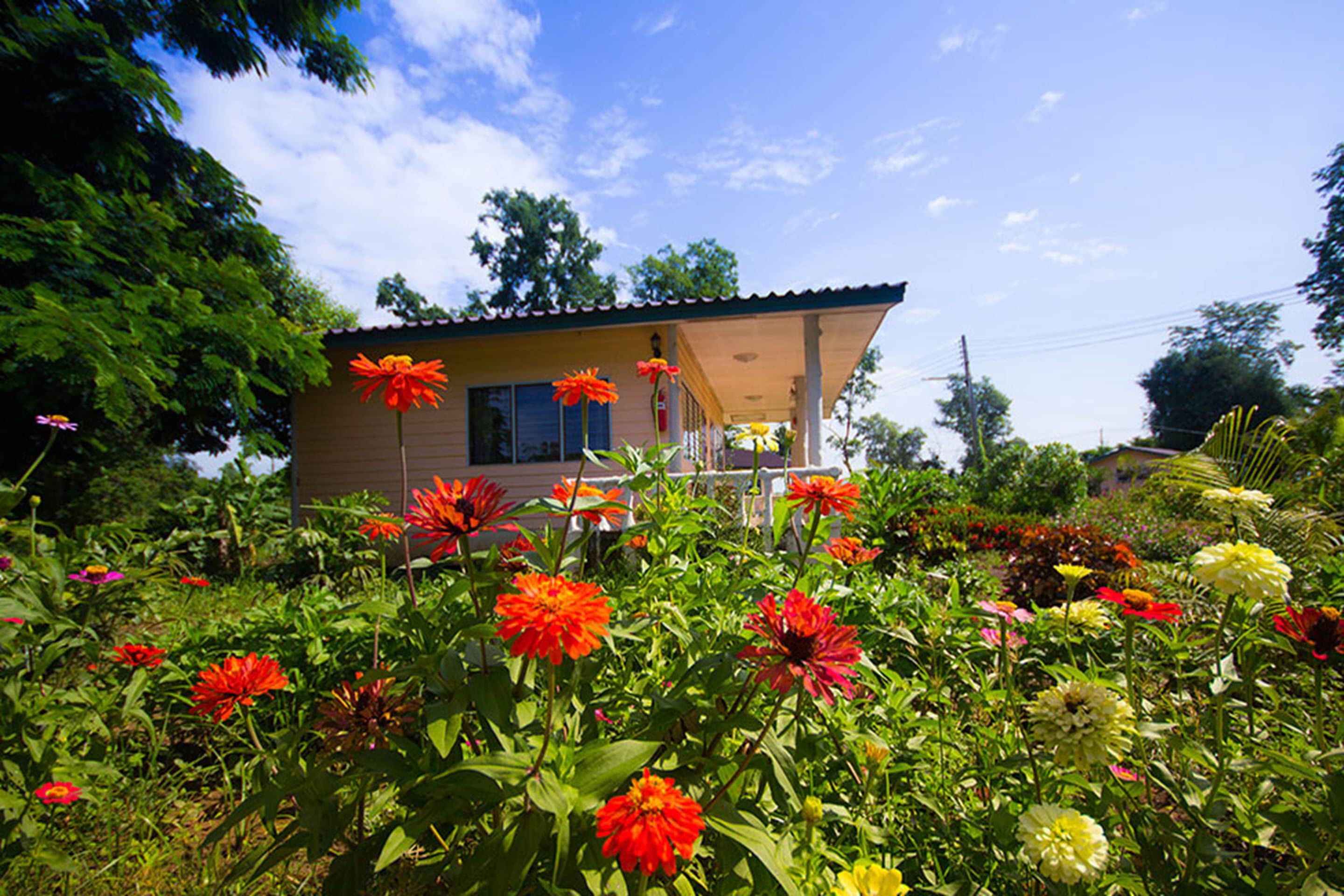 A small house surrounded by a garden with various flowers.