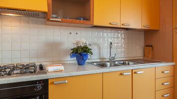 Classic Apartment, 1 Bedroom | Private kitchen | Full-sized fridge, oven, stovetop, cookware/dishes/utensils