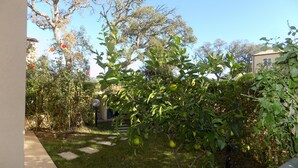 Un jardín con un sendero que lleva a un edificio.