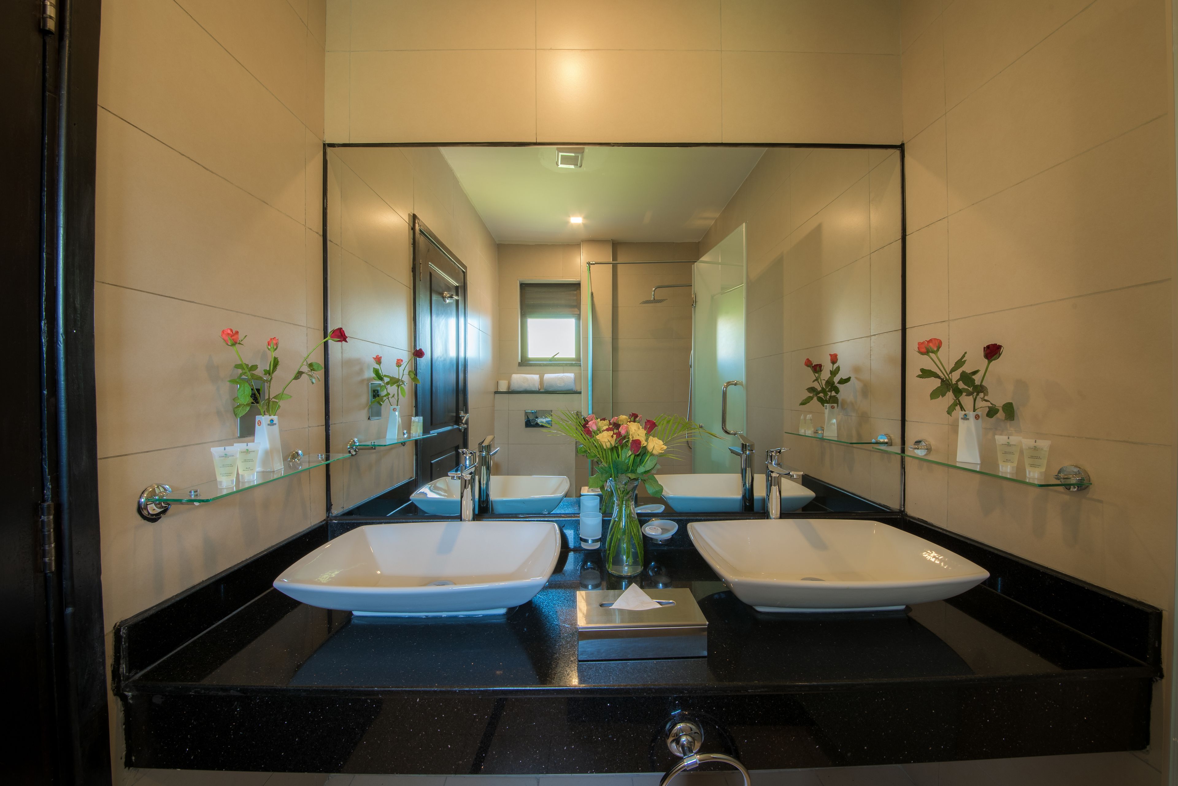 A modern bathroom with two sinks, a glass shower enclosure, and a mirror reflecting the room.
