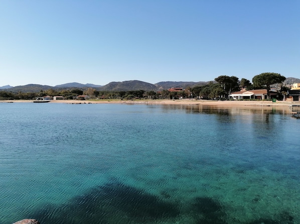 Plage à proximité, sable blanc, bar de plage