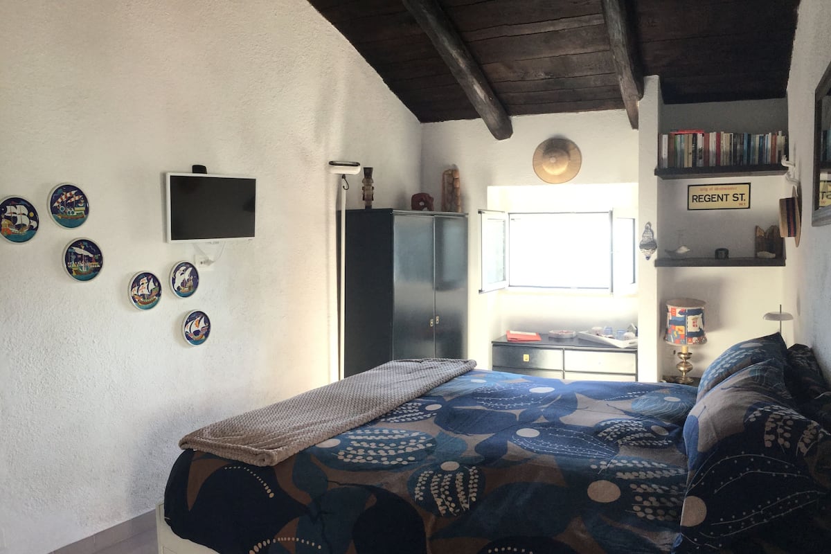 Un dormitorio con cama, televisor, armario, estante con libros y platos decorativos en la pared.