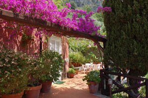 Terraza o patio