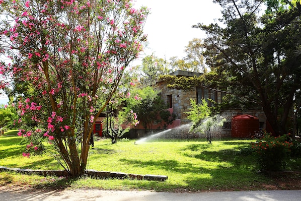 Jardin
