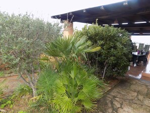 Panorama huis, 2 slaapkamers | Terras