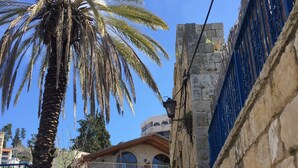 A narrow alleyway with a palm tree, stone walls, and a building with arched windows and balconies.