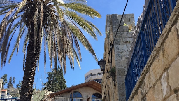 A narrow alleyway with a palm tree, stone walls, and a building with arched windows and balconies. - Off The Square (Safed)