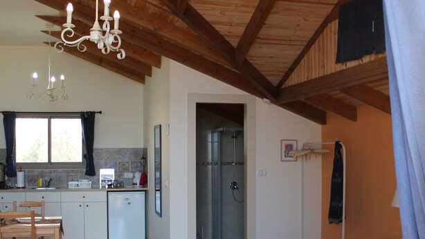 A cozy room with a wooden ceiling, a bed with patterned bedding, a small kitchen area, and a dining table.