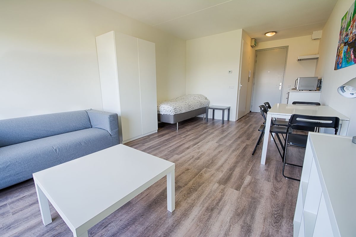 A compact living space with a sofa, a small bed, a kitchenette, and a dining area.
