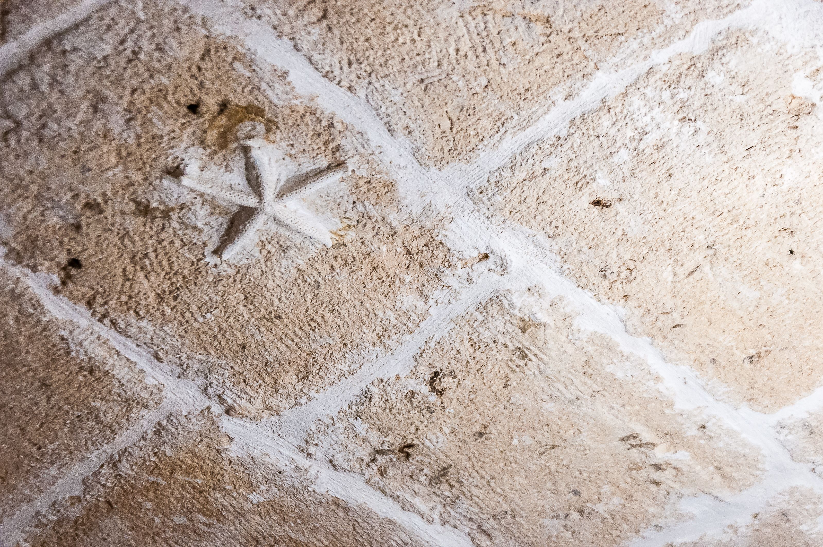 Photo - Terracielo Guest House