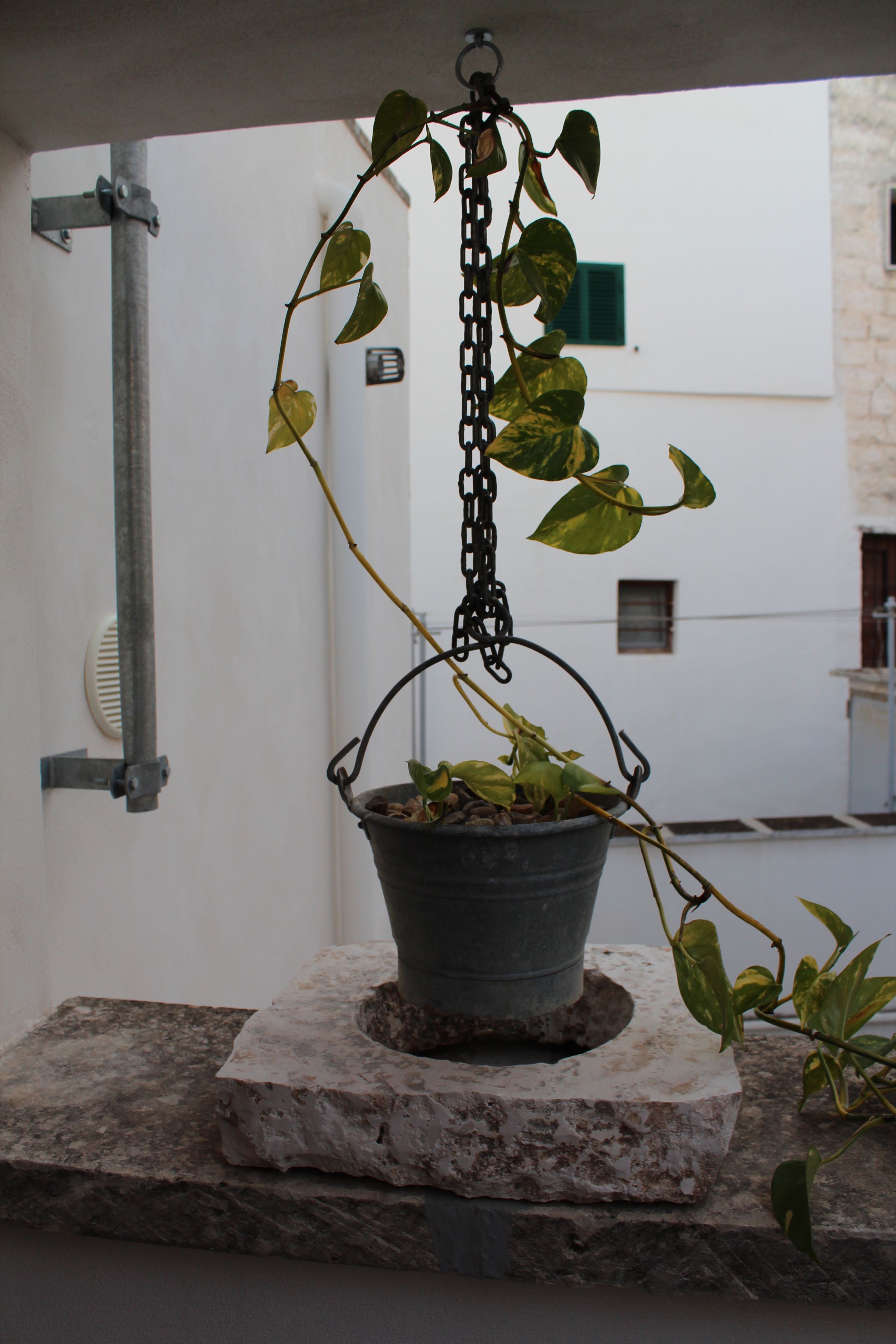 Photo - Terracielo Guest House