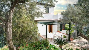 A patio with a table and chairs, surrounded by olive trees and potted plants. - Casa Maradona (Massa Lubrense)