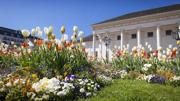 Ein Garten mit verschiedenen Blumen und ein Gebäude mit Säulen im Hintergrund.