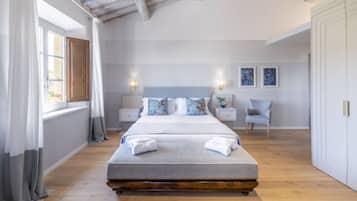 Camera Executive | 1 camera, biancheria da letto di alta qualità, copriletto in piuma
