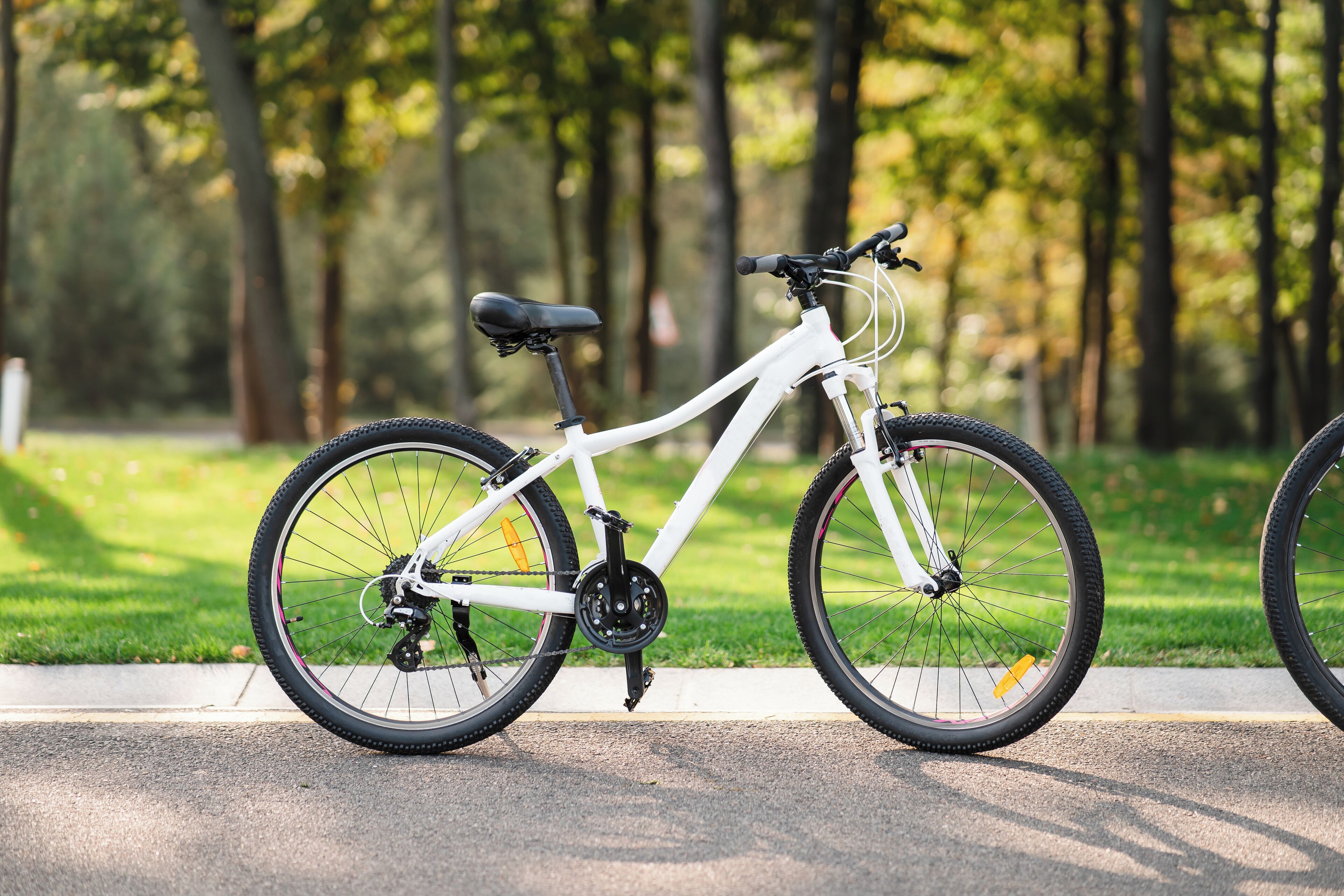Una bicicleta blanca estacionada en un sendero pavimentado en un parque, con árboles al fondo.