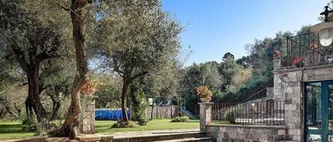 A courtyard with stone steps leading to a covered area, surrounded by olive trees and a stone wall.