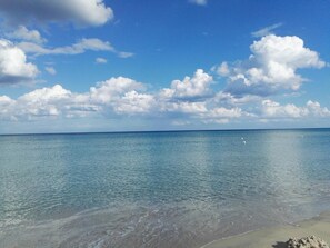 Nära stranden
